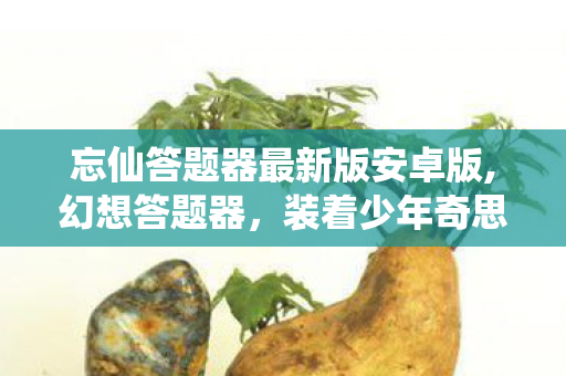 忘仙答题器最新版安卓版,幻想答题器，装着少年奇思的趣味时光机