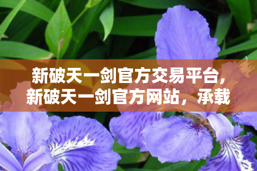 新破天一剑官方交易平台,新破天一剑官方网站,承载武侠情怀的专属服务阵地 新破天一剑官方交易平台,新破天一剑官方网站,承载武侠情怀的专属服务阵地