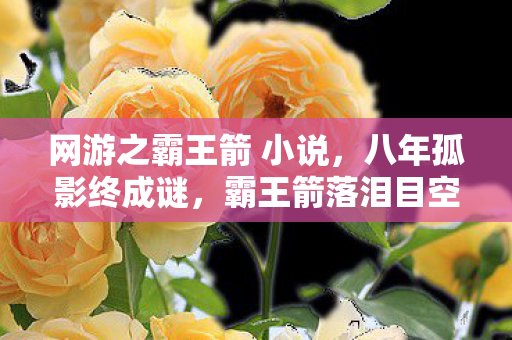 网游之霸王箭 小说，八年孤影终成谜，霸王箭落泪目空