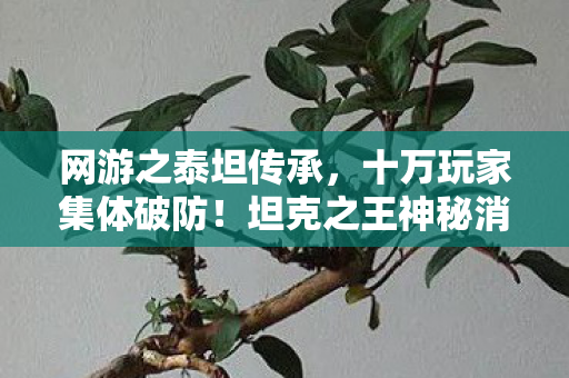 网游之泰坦传承，十万玩家集体破防！坦克之王神秘消失的第11人究竟是谁？
