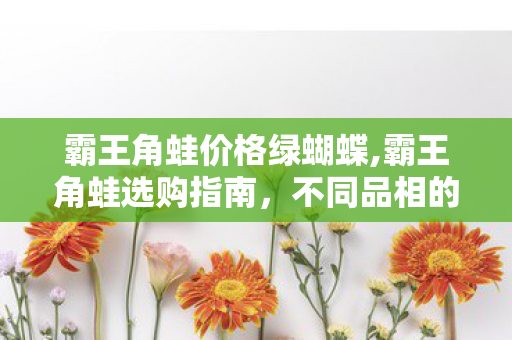 霸王角蛙价格绿蝴蝶,霸王角蛙选购指南,不同品相的市场参考价与饲养注意事项 霸王角蛙价格绿蝴蝶,霸王角蛙选购指南,不同品相的市场参考价与饲养注意事项