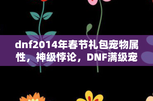dnf2014年春节礼包宠物属性，神级悖论，DNF满级宠物的荣耀深渊，竟是我现实人生的灵魂黑洞