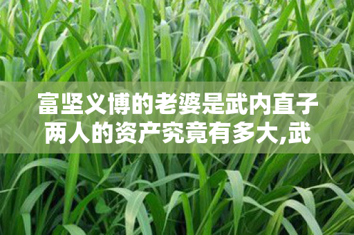 富坚义博的老婆是武内直子两人的资产究竟有多大,武内直子，不被标签定义的动漫行业闪光创作者