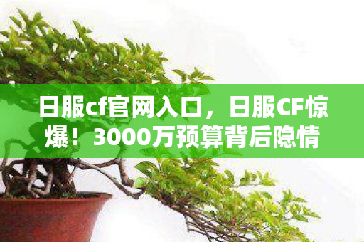 日服cf官网入口，日服CF惊爆！3000万预算背后隐情，结果让人吓一跳！
