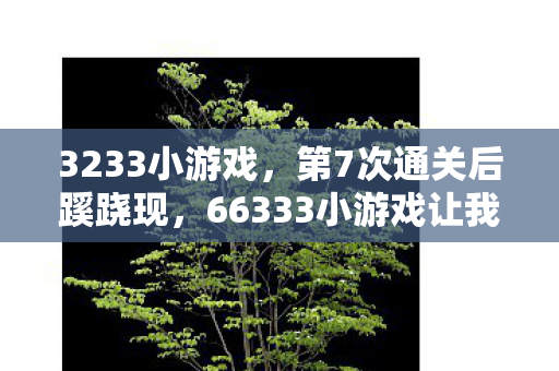 3233小游戏，第7次通关后蹊跷现，66333小游戏让我后背发凉