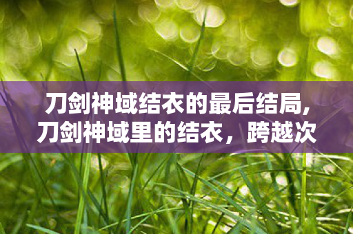 刀剑神域结衣的最后结局,刀剑神域里的结衣,跨越次元的软萌小星光 刀剑神域结衣的最后结局,刀剑神域里的结衣,跨越次元的软萌小星光