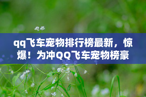 qq飞车宠物排行榜最新，惊爆！为冲QQ飞车宠物榜豪掷18万，老婆签离婚协议时我才吓一跳！