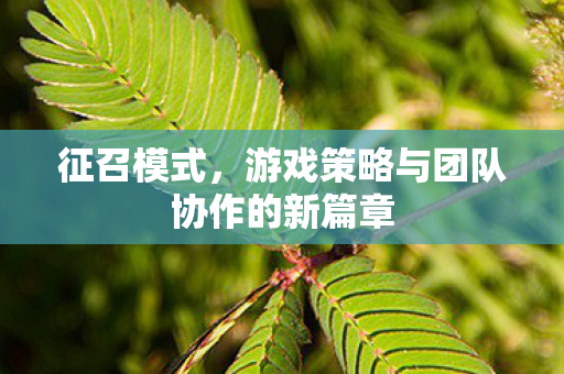 游戏策略与团队协作的新篇章图片
