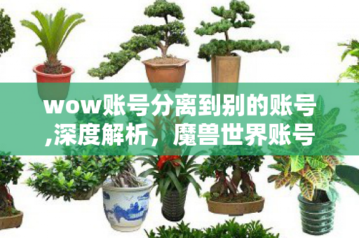 wow账号分离到别的账号,深度解析,魔兽世界账号分离的实用指南与注意事项 wow账号分离到别的账号,深度解析,魔兽世界账号分离的实用指南与注意事项