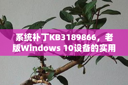 系统补丁KB3189866，老版Windows 10设备的实用优化指南