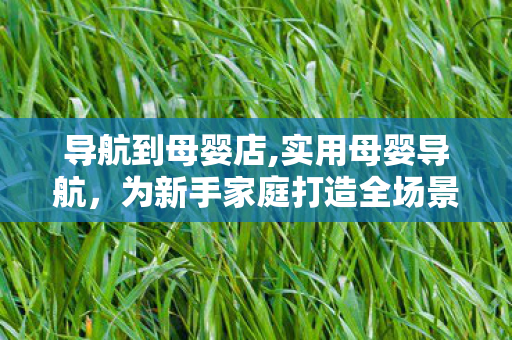 导航到母婴店,实用母婴导航，为新手家庭打造全场景育儿服务指南