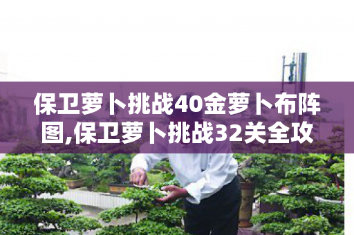 保卫萝卜挑战40金萝卜布阵图,保卫萝卜挑战32关全攻略，轻松获取金萝卜的高效布阵参考