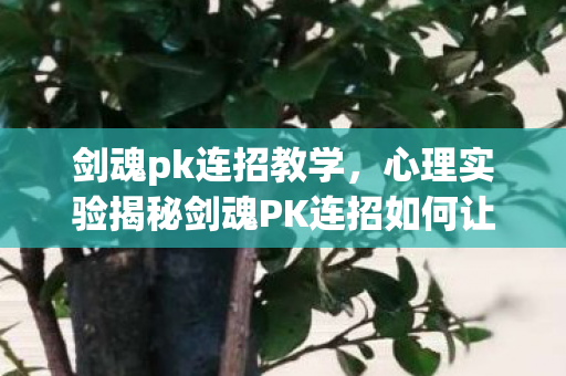 剑魂pk连招教学,心理实验揭秘剑魂PK连招如何让你沉迷?细思极恐的多巴胺陷阱 剑魂pk连招教学,心理实验揭秘剑魂PK连招如何让你沉迷?细思极恐的多巴胺陷阱