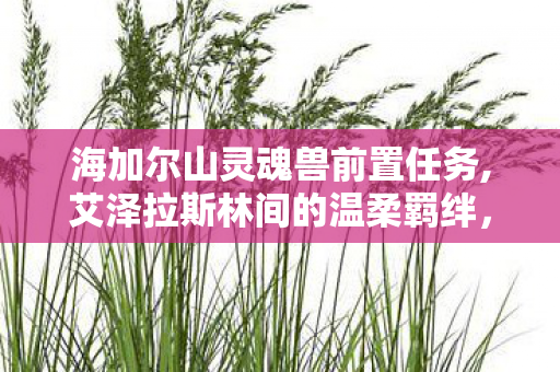 海加尔山灵魂兽前置任务,艾泽拉斯林间的温柔羁绊,海加尔山灵魂兽的旧时光絮语 海加尔山灵魂兽前置任务,艾泽拉斯林间的温柔羁绊,海加尔山灵魂兽的旧时光絮语