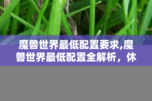 魔兽世界最低配置要求,魔兽世界最低配置全解析,休闲玩家轻松畅游艾泽拉斯 魔兽世界最低配置要求,魔兽世界最低配置全解析,休闲玩家轻松畅游艾泽拉斯
