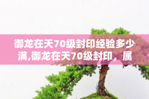 御龙在天70级封印经验多少满,御龙在天70级封印,属于国战玩家的集体青春刻度 御龙在天70级封印经验多少满,御龙在天70级封印,属于国战玩家的集体青春刻度