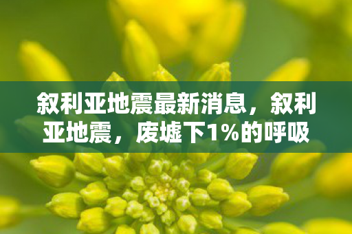 叙利亚地震最新消息,叙利亚地震,废墟下1%的呼吸声,藏着多少未被听见的绝望? 叙利亚地震最新消息,叙利亚地震,废墟下1%的呼吸声,藏着多少未被听见的绝望?