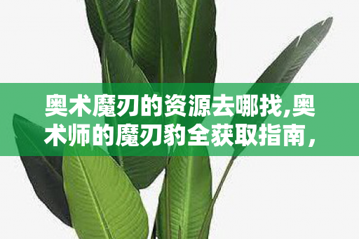 奥术魔刃的资源去哪找,奥术师的魔刃豹全获取指南，解锁苏拉玛专属魔法坐骑的完整路径