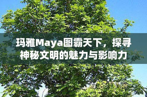 探寻神秘文明的魅力与影响力图片