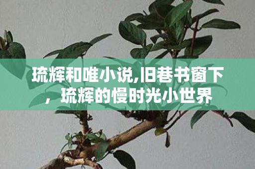 琉辉和唯小说,旧巷书窗下,琉辉的慢时光小世界 琉辉和唯小说,旧巷书窗下,琉辉的慢时光小世界