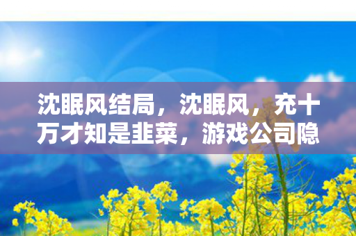 沈眠风结局,沈眠风,充十万才知是韭菜,游戏公司隐情让我吓一跳! 沈眠风结局,沈眠风,充十万才知是韭菜,游戏公司隐情让我吓一跳!