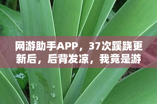 网游助手APP,37次蹊跷更新后,后背发凉,我竟是游戏最忠实的提线木偶? 网游助手APP,37次蹊跷更新后,后背发凉,我竟是游戏最忠实的提线木偶?