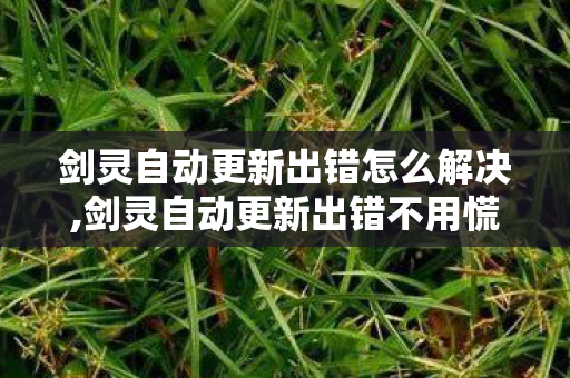 剑灵自动更新出错怎么解决,剑灵自动更新出错不用慌,实用排查技巧帮你快速解决 剑灵自动更新出错怎么解决,剑灵自动更新出错不用慌,实用排查技巧帮你快速解决