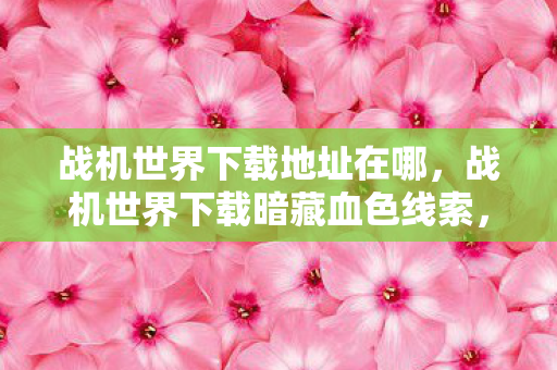 战机世界下载地址在哪,战机世界下载暗藏血色线索,悬案背后毛骨悚然,我杀了自己? 战机世界下载地址在哪,战机世界下载暗藏血色线索,悬案背后毛骨悚然,我杀了自己?