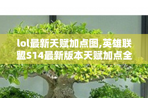 lol最新天赋加点图,英雄联盟S14最新版本天赋加点全指南 适配全位置对局场景 lol最新天赋加点图,英雄联盟S14最新版本天赋加点全指南 适配全位置对局场景
