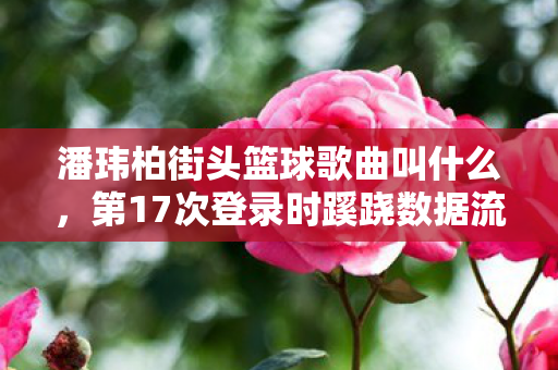 潘玮柏街头篮球歌曲叫什么，第17次登录时蹊跷数据流，后背发凉的十年逃亡真相