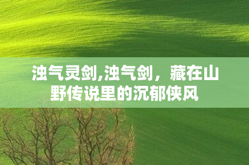 浊气灵剑,浊气剑,藏在山野传说里的沉郁侠风 浊气灵剑,浊气剑,藏在山野传说里的沉郁侠风