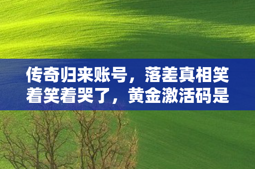 传奇归来账号,落差真相笑着笑着哭了,黄金激活码是救赎还是策划的终极嘲讽? 传奇归来账号,落差真相笑着笑着哭了,黄金激活码是救赎还是策划的终极嘲讽?