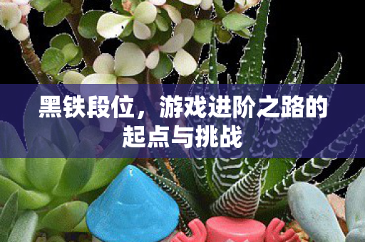 游戏进阶之路的起点与挑战图片