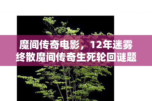 魔间传奇电影,12年迷雾终散魔间传奇生死轮回谜题,为何让百万玩家泪目? 魔间传奇电影,12年迷雾终散魔间传奇生死轮回谜题,为何让百万玩家泪目?
