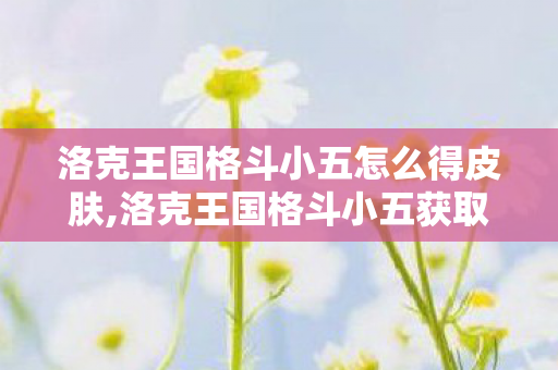 洛克王国格斗小五怎么得皮肤,洛克王国格斗小五获取全指南,情怀神宠的正规入手路径盘点 洛克王国格斗小五怎么得皮肤,洛克王国格斗小五获取全指南,情怀神宠的正规入手路径盘点