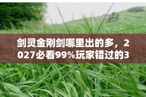 剑灵金刚剑哪里出的多,2027必看99%玩家错过的3个金刚剑爆点!实测300小时血泪心得 剑灵金刚剑哪里出的多,2027必看99%玩家错过的3个金刚剑爆点!实测300小时血泪心得