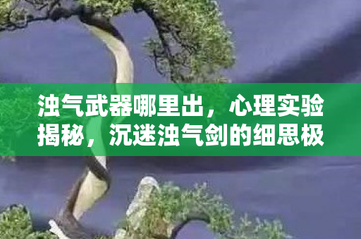 浊气武器哪里出，心理实验揭秘，沉迷浊气剑的细思极恐自我麻醉之旅