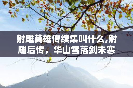 射雕英雄传续集叫什么,射雕后传,华山雪落剑未寒 射雕英雄传续集叫什么,射雕后传,华山雪落剑未寒