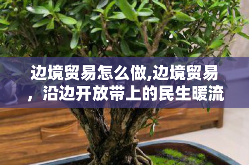 边境贸易怎么做,边境贸易,沿边开放带上的民生暖流与发展新动能 边境贸易怎么做,边境贸易,沿边开放带上的民生暖流与发展新动能