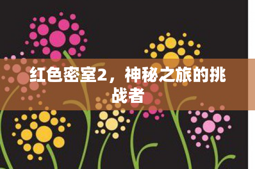 神秘之旅的挑战者图片