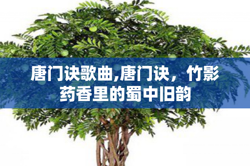 唐门诀歌曲,唐门诀,竹影药香里的蜀中旧韵 唐门诀歌曲,唐门诀,竹影药香里的蜀中旧韵