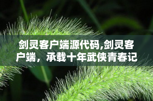 剑灵客户端源代码,剑灵客户端,承载十年武侠青春记忆的数字伙伴 剑灵客户端源代码,剑灵客户端,承载十年武侠青春记忆的数字伙伴