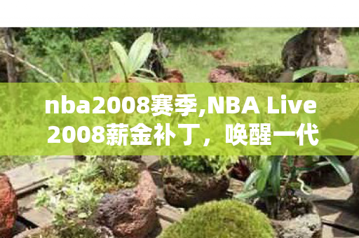 nba2008赛季,NBA Live 2008薪金补丁,唤醒一代篮球玩家的青春记忆 nba2008赛季,NBA Live 2008薪金补丁,唤醒一代篮球玩家的青春记忆