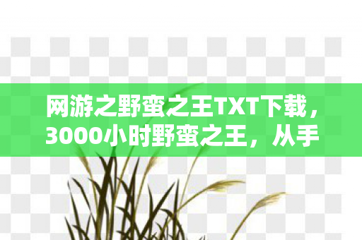 网游之野蛮之王TXT下载,3000小时野蛮之王,从手游菜鸟到主机战神,这身份反转太戳心! 网游之野蛮之王TXT下载,3000小时野蛮之王,从手游菜鸟到主机战神,这身份反转太戳心!