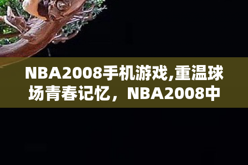 NBA2008手机游戏,重温球场青春记忆,NBA2008中文版游戏的怀旧游玩指南 NBA2008手机游戏,重温球场青春记忆,NBA2008中文版游戏的怀旧游玩指南
