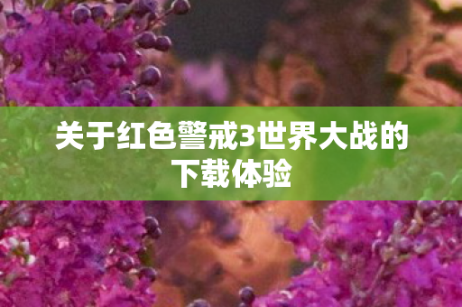 关于红色警戒3世界大战的下载体验图片
