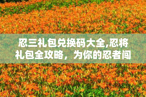 忍三礼包兑换码大全,忍将礼包全攻略,为你的忍者闯荡之路添砖加瓦 忍三礼包兑换码大全,忍将礼包全攻略,为你的忍者闯荡之路添砖加瓦