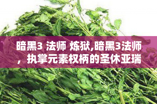 暗黑3 法师 炼狱,暗黑3法师,执掌元素权柄的圣休亚瑞奥术行者 暗黑3 法师 炼狱,暗黑3法师,执掌元素权柄的圣休亚瑞奥术行者