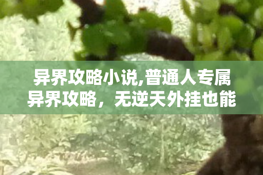 异界攻略小说,普通人专属异界攻略，无逆天外挂也能安稳漫游异世界