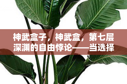 神武盒子，神武盒，第七层深渊的自由悖论——当选择成为命运的囚徒